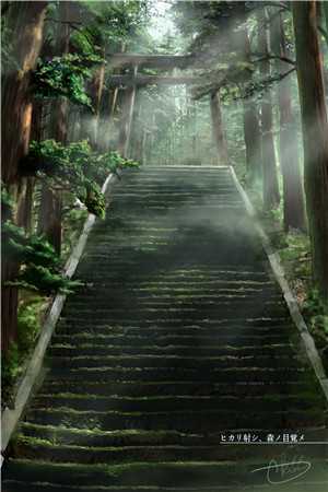 眼泪随风逝