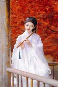 桃色仕途(陈斌高婉君)免费小说笔趣阁_完结免费小说桃色仕途陈斌高婉君