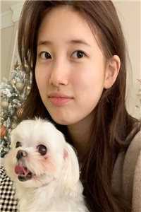 他吻小玫瑰(宁秋棠江晟)免费小说在线看_最新推荐小说他吻小玫瑰宁秋棠江晟