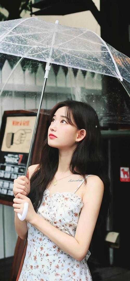 重生后，我真的只想做好事(秦遇叶白)小说全文免费阅读_最新完结小说重生后，我真的只想做好事秦遇叶白